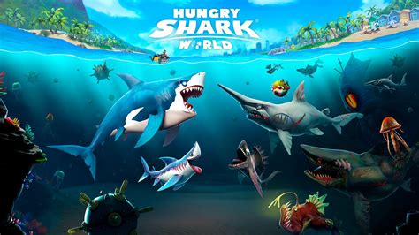 Hungry Shark Wallpapers - Top Free Hungry Shark Backgrounds - WallpaperAccess