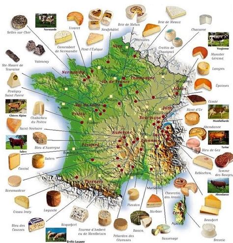 Cheesemap of France | French cheese, French food, Cheese