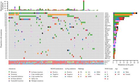 Full Article Comprehensive Molecular Characterization Of Chinese