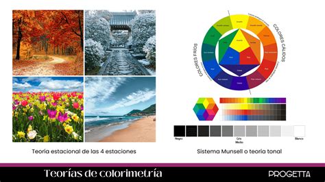 COLORIMETRÍA PERSONAL ProgettaGT