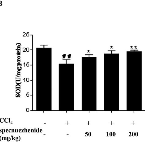 Specnuezhenide Attenuates Ccl 4 Induced Oxidative Stress And Modifies