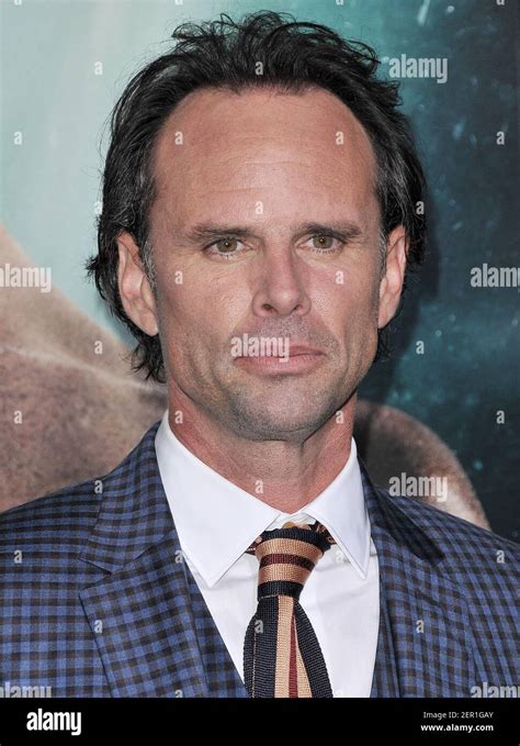 Walton Goggins kommt bei der 'Tomb Raider' Los Angeles Premiere im TCL Chinese Theatre in ...