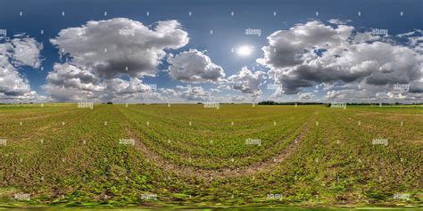 View Of Spherical Hdri Panorama Among Green Grass Farming