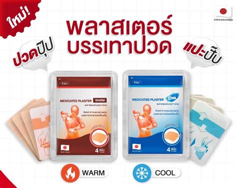 Counterpain Medicated Plaster Warm Cool 4 Plasters Lazada PH