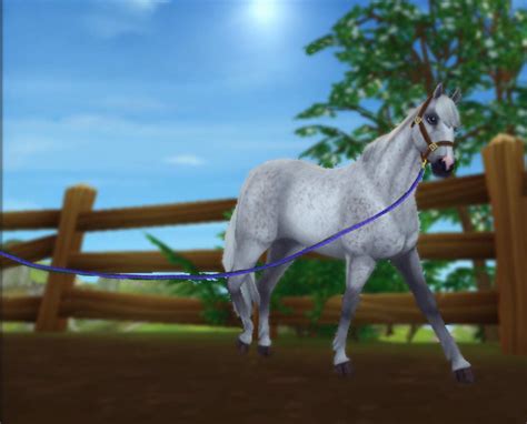 Lunging Cameo Edit Star Stable Online Amino