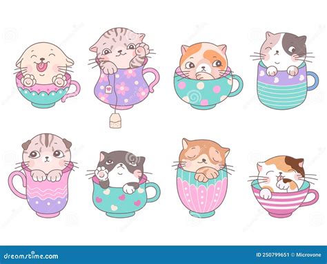 Gatos Lindos En Taza Dibujos Animados De Tazas De Café Gatito Aislado