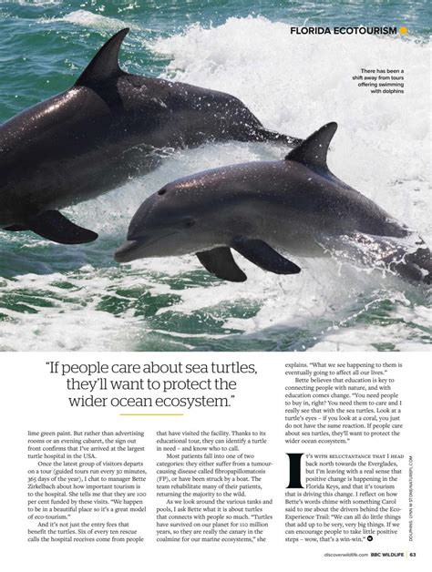 Bbc Wildlife Magazine Subscriptions And November 2024 Issue