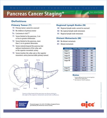 Pancreatic Cancer Flashcards Quizlet