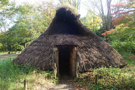 Jomon revival: Interest in Japan’s indigenous hunter-gatherers grows