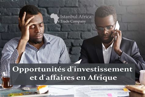 Top 25 des opportunités d investissement et d affaires en Afrique