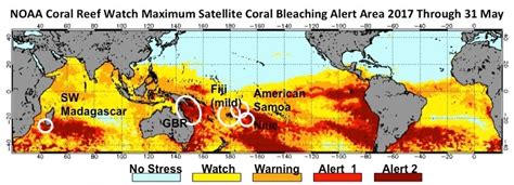 Great Barrier Reef Bleaching Map