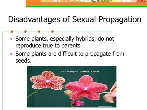 Ppt Plant Propagation Powerpoint Presentation Free Download Id178076