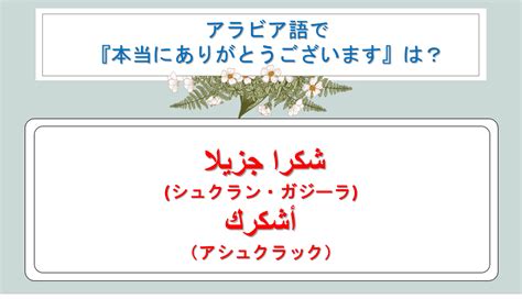 アラビア語でありがとうは？あいさつの書き方・ビジネス・翻訳・丁寧に言う場合や発音・音声も紹介！｜白丸くん