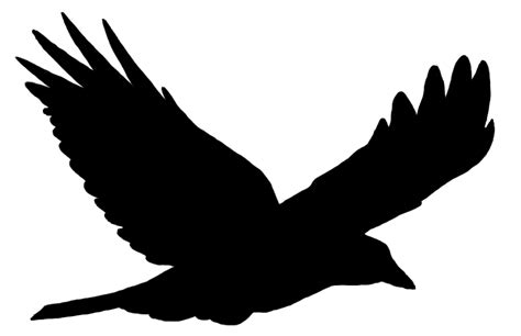 Blackbird Logo Sticker 1