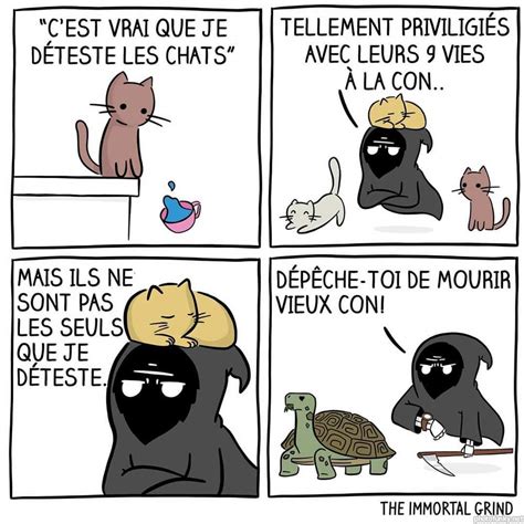 c est vrai que je déteste les chats tellement privilégiés avec leurs 9