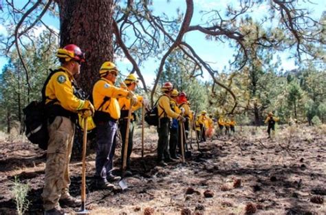 Reconocen A Combatientes De Incendios Forestales En Su Día Ser Noticia Promoviendo El