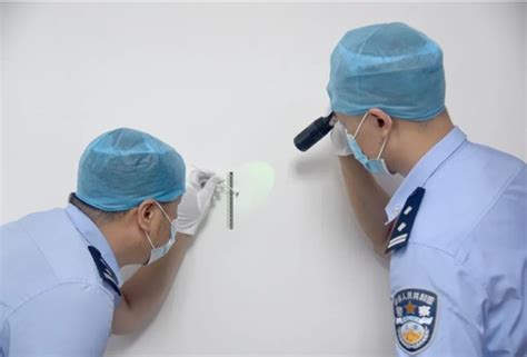 Vụ án gay cấn hơn phim Chỉ nhờ xác con muỗi dính trên tường mà tìm ra danh tính thủ phạm