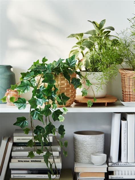 Pots & plants - IKEA