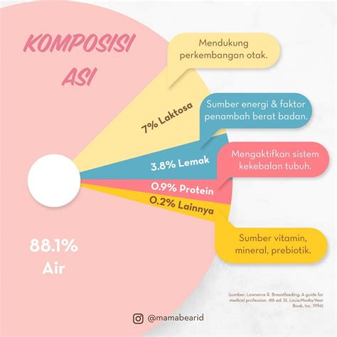 Punya Segudang Manfaat Apa Saja Kandungan Dalam Asi Mamabear