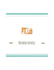 Understanding Mendelian Genetics Through Ptc Lab Experiment Course Hero