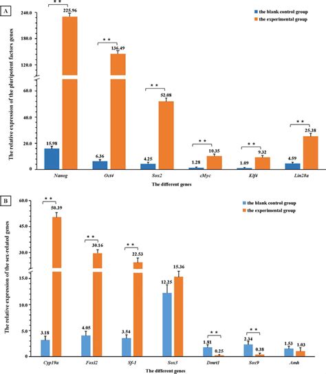 The Expression Of Pluripotency Factor And Sex Related Genes After