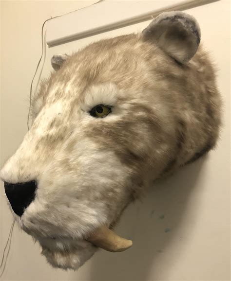 Sabertooth Head • Ultimate Paper Mache