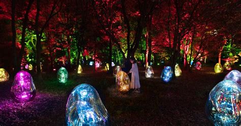 大阪自由行新景點長居植物園teamLab Botanical Garden夜間特展超好拍 樂吃購日本