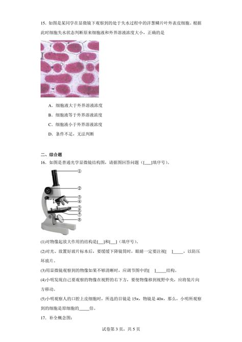 2023 2024学年初中生物苏科版七年级上册期末测试模拟卷2（答案解析） 21世纪教育网