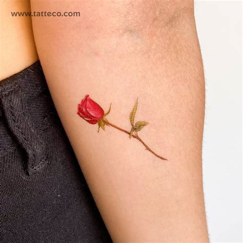 Illustrative Red Rose Temporary Tattoo By Mini Lau