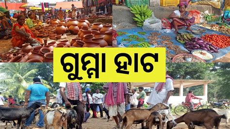 ଗୁମ୍ମା ହାଟ Kudumulugumma Hata Adivasi Market Odisha Guma Video