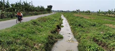 Petani Minta Normalisasi Saluran Irigasi Rutin Dilakukan