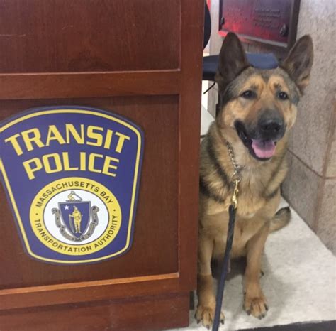 Massachusetts Bay Transportation Authority Announces Passing Of Police