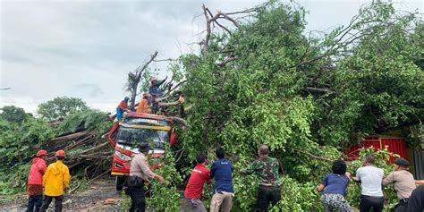 Berita Harian Pohon Beringin Tumbang Timpa Bus Terbaru Hari Ini