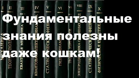 Фундаментальные знания полезны даже кошкам! - YouTube