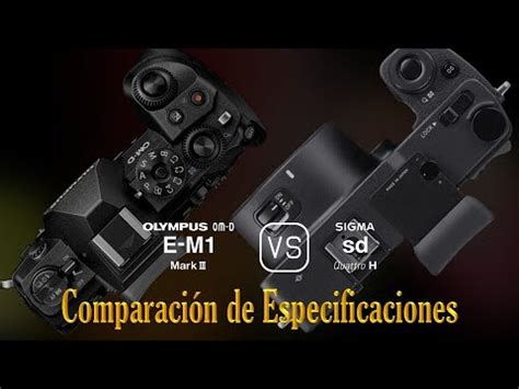 Olympus OM D E M1 Mark III vs Sigma sd Quattro H Una Comparación de