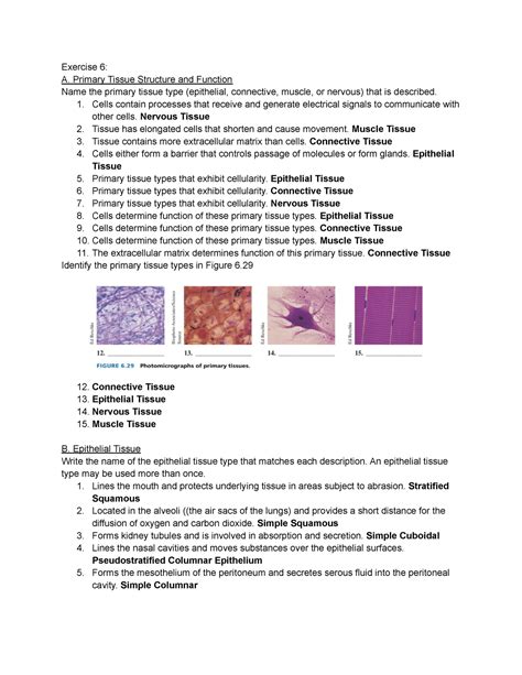 Lab Assignment Review Your Knowledge Exercise Exercise A