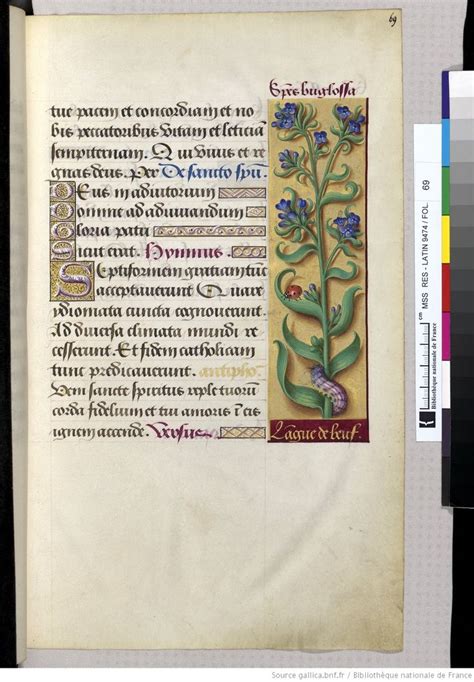 An Old Book With Flowers And Leaves On The Page Is Shown In Color Pencils