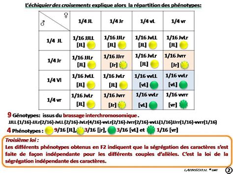 Introduction Support De R Vision Td G N Tique Td La Transmission