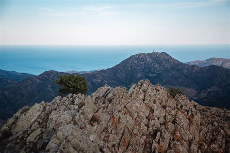 Visiter Argelès Sur Mer En 10 Coups De Cœur