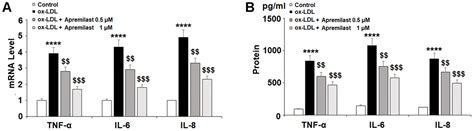 Apremilast Ameliorates Ox Ldl Induced Endothelial Dysfunction Mediated