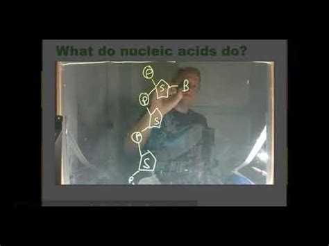 Nucleic Acids Youtube