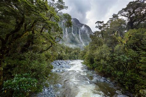 zealand river stock image colourbox