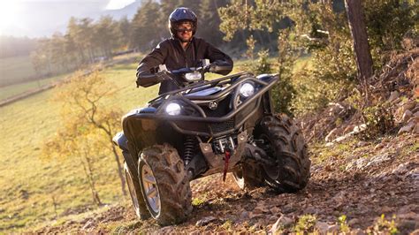 Yamaha Grizzly Th Anniversary Zweirad Loitz