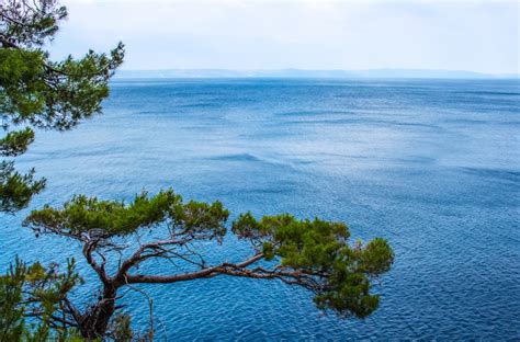 Free Images Beach Sea Coast Tree Nature Rock Ocean Horizon