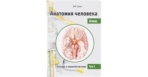 Сапин Михаил Романович: Анатомия человека. Атлас. В 3 томах. Том 3 ...