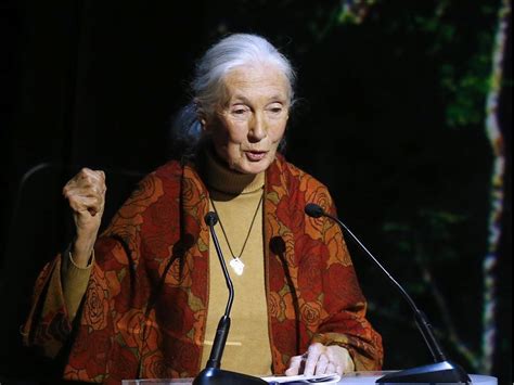 Watch Jane Goodall Deliver A Commencement Speech At Simon Fraser