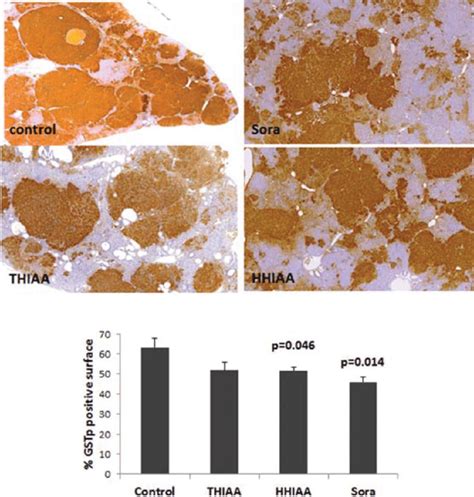 Representative Immunohistochemistry And Quantification N D 6 Per