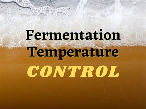 Fermentation Temperature - How To Control Temperature & Why It's Important