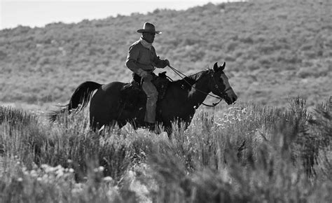 The Antelope Island Bison Roundup