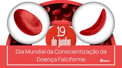 Doen A Falciforme Saiba Mais Blog Grupo Medcof